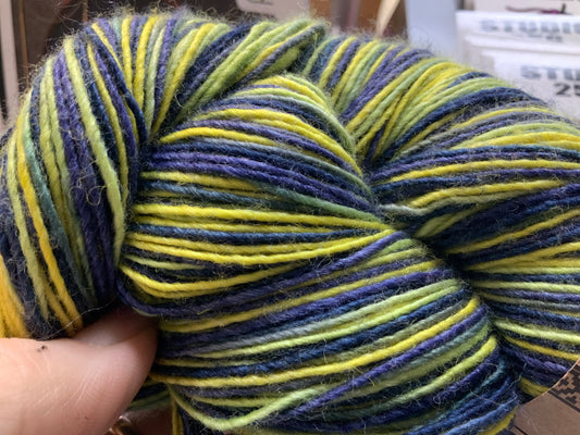 ARAUCANIA YARN NOBLE PAINT